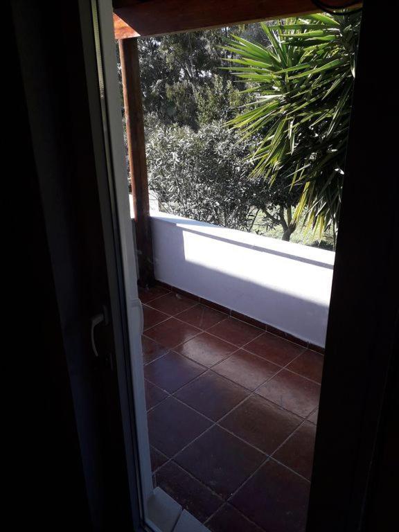 塞辛布拉Casa Do Avo Teixeira别墅 外观 照片